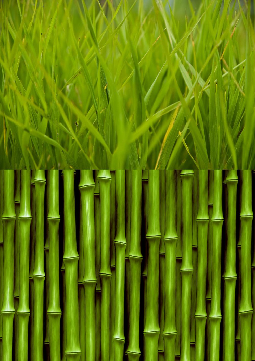 Australian Bamboo Grassfragrance Oil 1 Ounce
